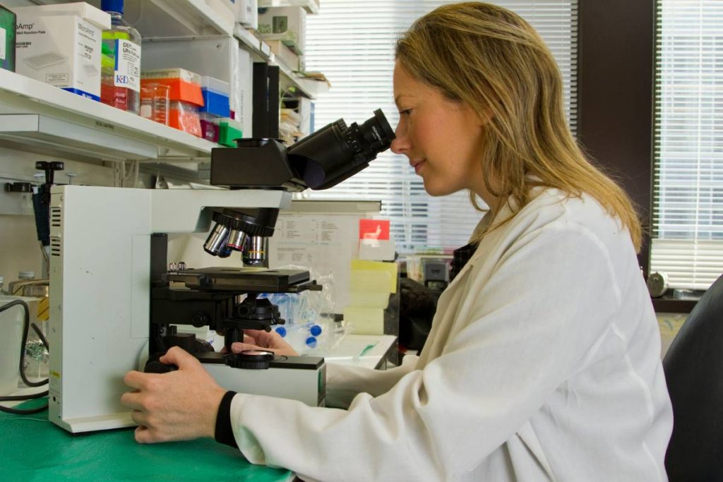 A female scientist in a laboratory looks through a microscope.